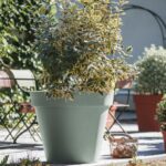 Pot Rond Toscane Ø 80 Cm - 170 L – Image 3