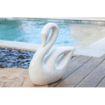 Cygne blanc