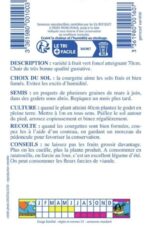 Courgettes vertes de la variété non coureuse des maraîchers, allongées et bien fermes, posées sur le sol du potager.