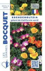 Eschscholzia Géant de Californie varrié