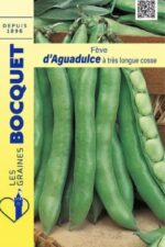 Fève d’Aguadulce en gousses vertes, plante potagère