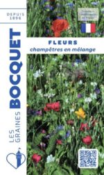 Mélange de fleurs champêtres – graines pour prairie fleurie naturelle