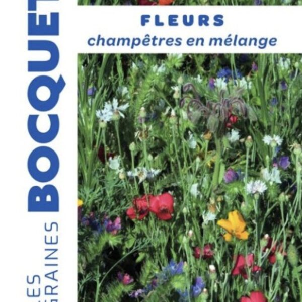 Mélange de fleurs champêtres – graines pour prairie fleurie naturelle