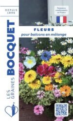 Mélange de fleurs pour balcons – graines pour jardinières et potées fleuries