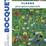 Mélange de fleurs pour gazon japonais – graines pour pelouse fleurie naturelle