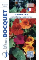 Fleurs de capucine naine Tom Pouce de couleurs variées, rouge, orange et jaune, au milieu d'un feuillage arrondi vert clair.