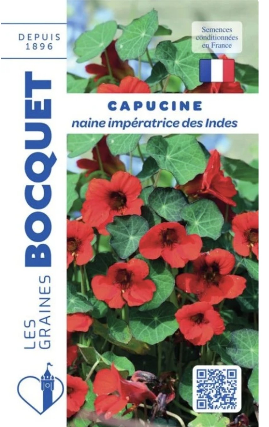 Capucine Impératrice – Plante annuelle fleurie Capucine Impératrice en fleurs, plante annuelle colorée