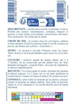 Carotte de Colmar à cœur rouge fraîchement récoltée du potager avec ses fanes.