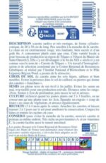 Une imposante carotte géante de Tilques, très longue, large et d'un orange foncé, montrant sa forme conique typique après l'arrachage.