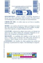 Tiges et feuilles de céleri vert à couper, bien fraîches et vigoureuses, prêtes pour la récolte.
