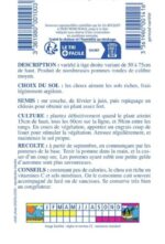 Petits choux de Bruxelles de