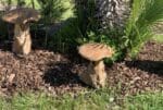 Champignons décoratifs en teck naturel pour embellir le jardin, la terrasse ou les espaces extérieurs.