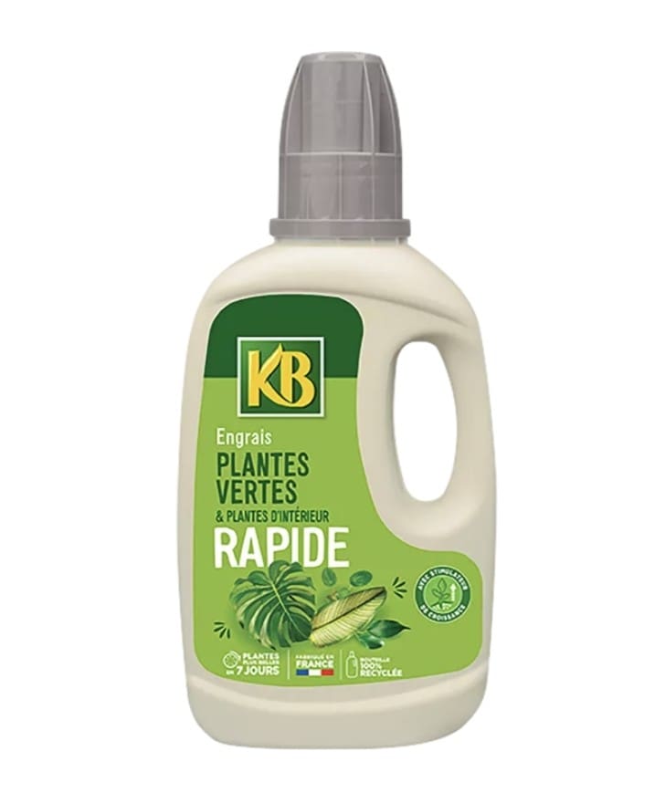 KB Engrais plantes vertes 500 ml Engrais rapide KB pour plantes vertes 500 ml