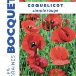 Sachet de graines de coquelicot simple rouge Les Graines Bocquet