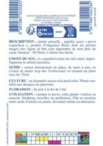 Sachet de graines de coquelicot simple rouge Les Graines Bocquet