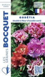 Sachet de graines de Godetia double à fleurs d’azalée