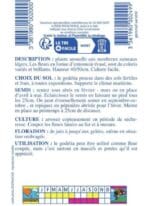 Sachet de graines de Godetia double à fleurs d’azalée