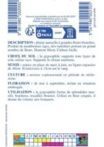 Sachet de graines de gypsophile élégant blanc Roi