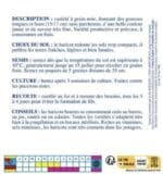 Sachet de graines de haricot beurre de Rocquencourt