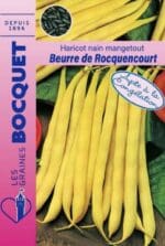 Sachet de graines de haricot beurre de Rocquencourt