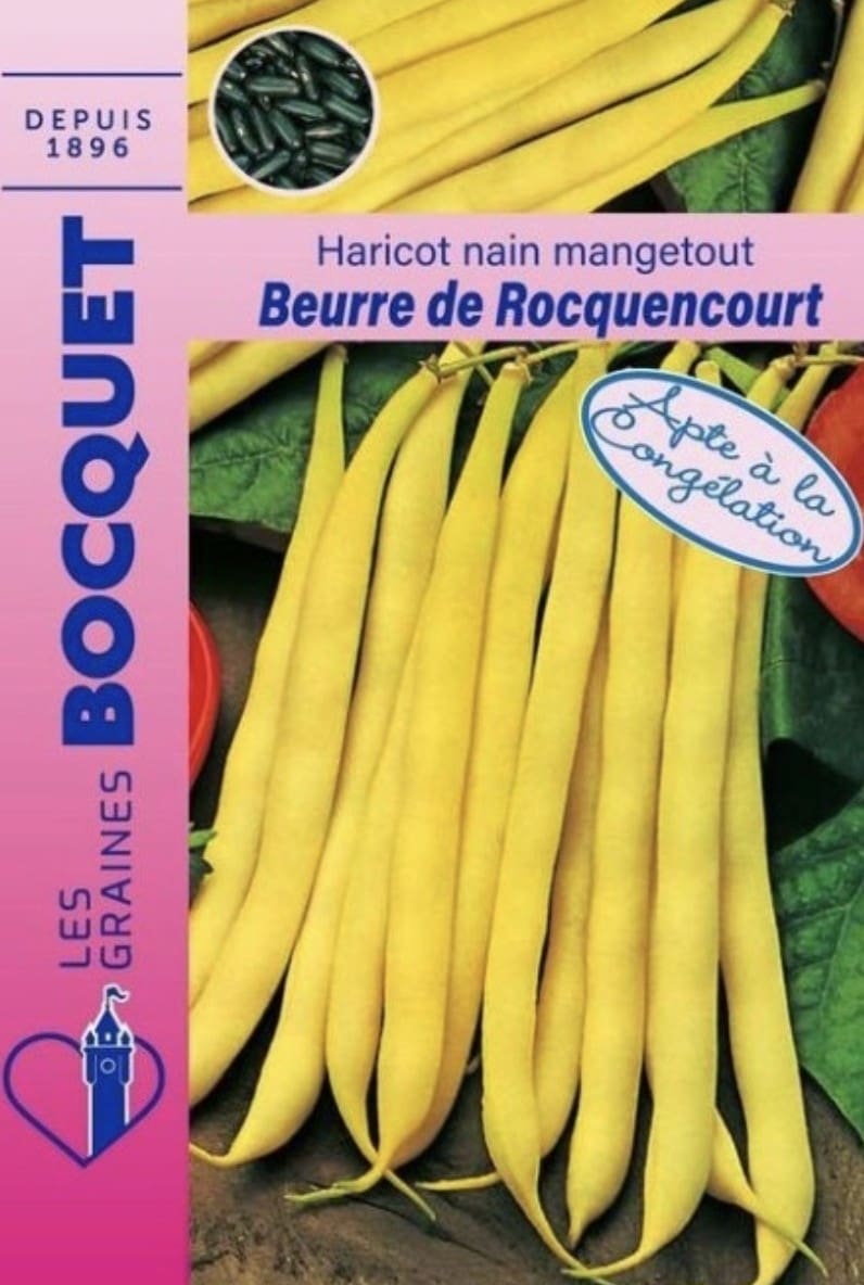 Haricot à beurre de Rocquencourt – Les Graines Bocquet Sachet de graines de haricot beurre de Rocquencourt