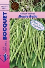 Sachet de graines de haricot à rames Monte Bello