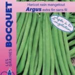 Sachet de graines de haricot nain Argus