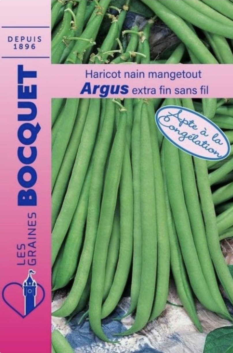 Haricot nain Argus – Les Graines Bocquet Sachet de graines de haricot nain Argus