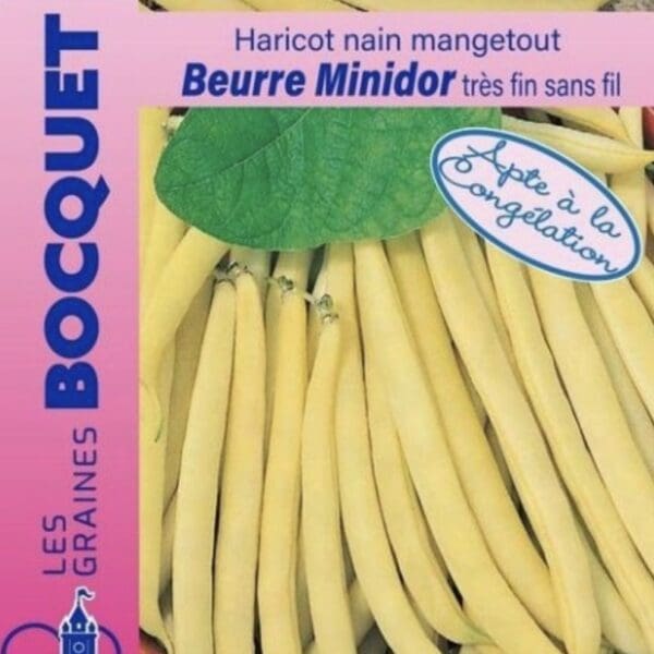 Sachet de graines de haricot nain beurre Minidor