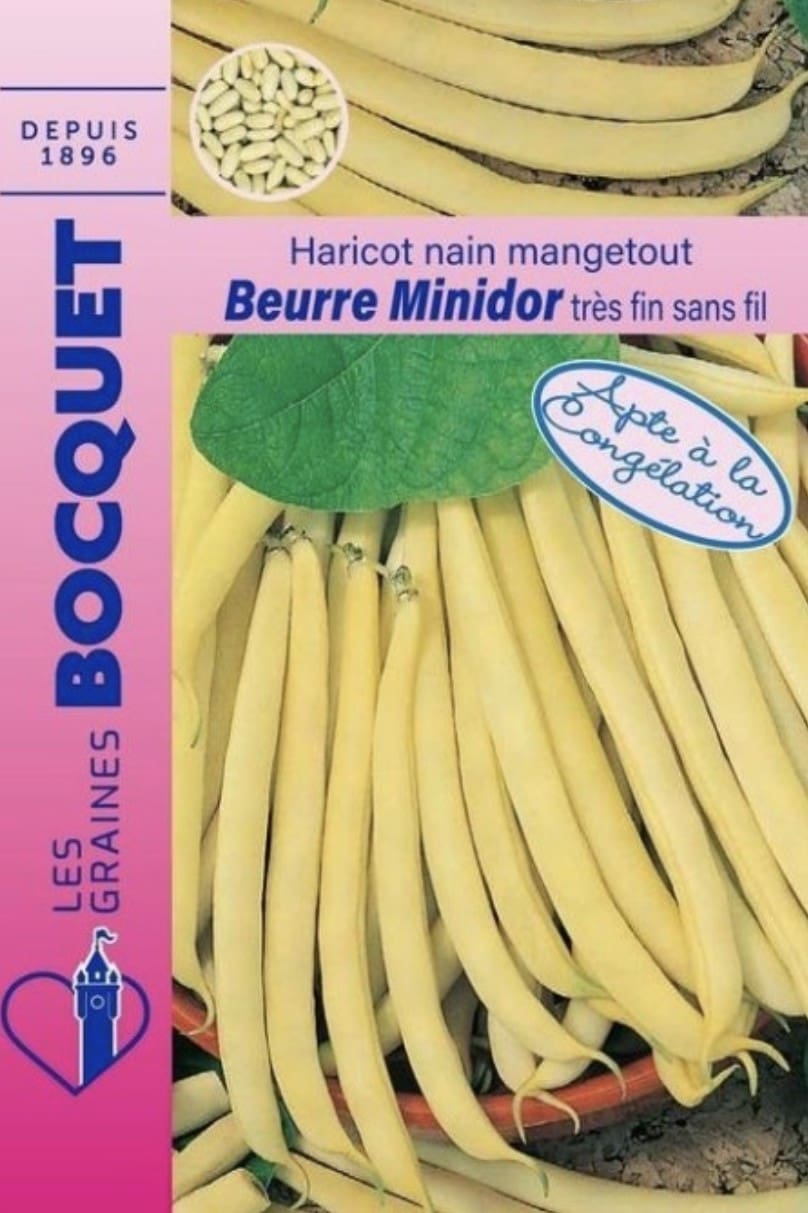 Haricot nain beurre Minidor – Les Graines Bocquet Sachet de graines de haricot nain beurre Minidor