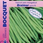 Sachet de graines de haricot nain Braimar
