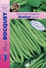 Sachet de graines de haricot nain Braimar