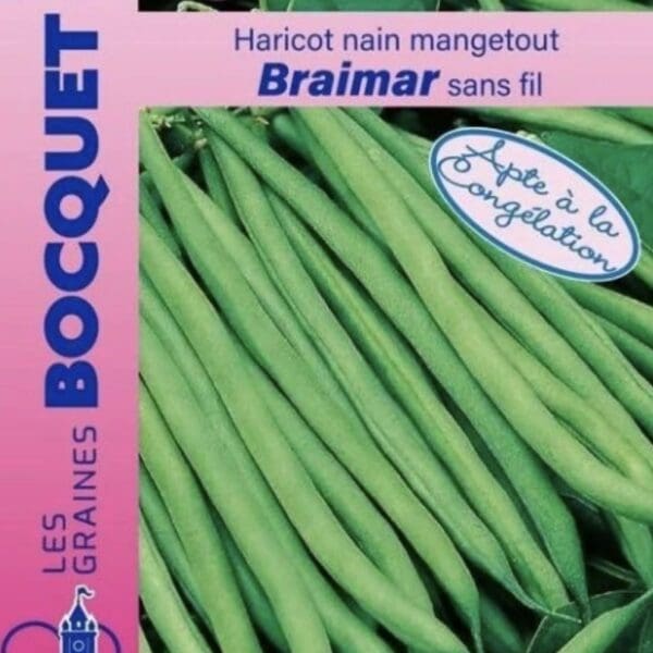 Sachet de graines de haricot nain Braimar