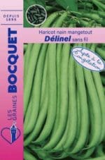 Sachet de graines de haricot nain Delinel