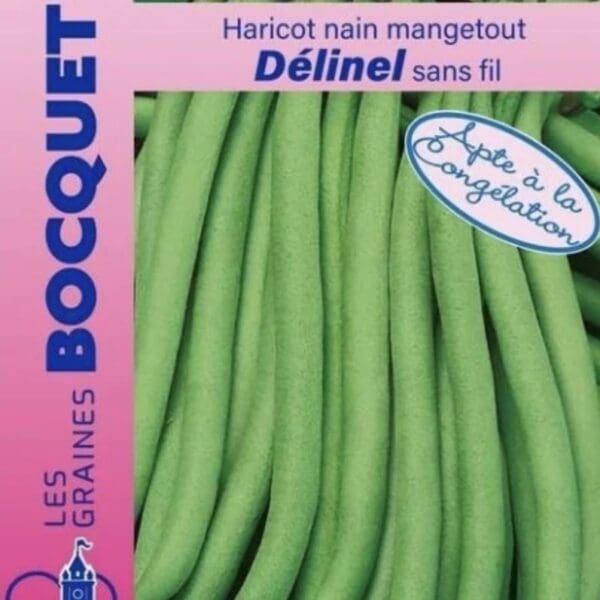 Sachet de graines de haricot nain Delinel