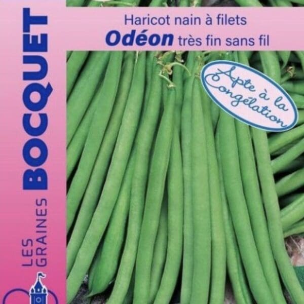 Sachet de graines de haricot nain Odéon