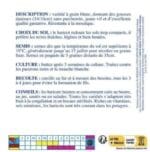 Sachet de graines de haricot nain Roi des Beurres