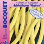 Sachet de graines de haricot nain Roi des Beurres