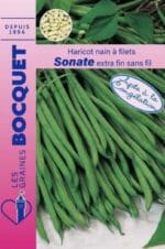Sachet de graines de haricot nain Sonate