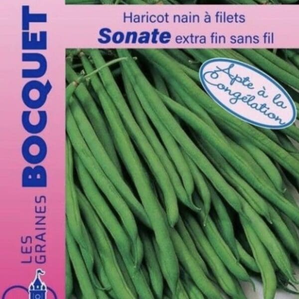 Sachet de graines de haricot nain Sonate