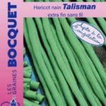 Sachet de graines de haricot nain Talisman