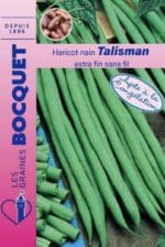 Sachet de graines de haricot nain Talisman