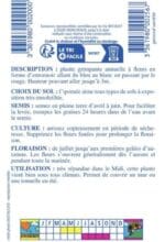 Sachet de graines d’ipomée volubilis variée