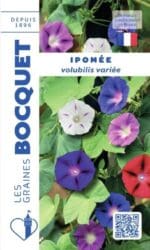Sachet de graines d’ipomée volubilis variée