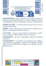 Sachet de graines de Lavatère à grande fleur varié