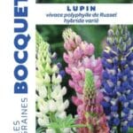 Sachet de graines de lupin vivace polyphylle de Russell hybride varié