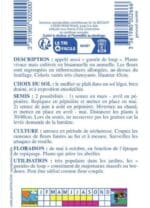 Sachet de graines de muflier demi-nain varié