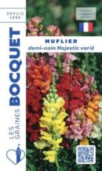 Sachet de graines de muflier demi-nain varié
