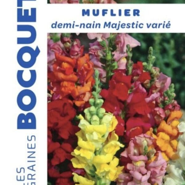 Sachet de graines de muflier demi-nain varié