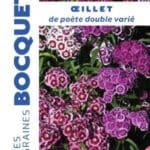 Sachet de graines d’œillet de poète double varié